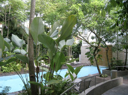Dunearn Road (D11), Condominium #631465511